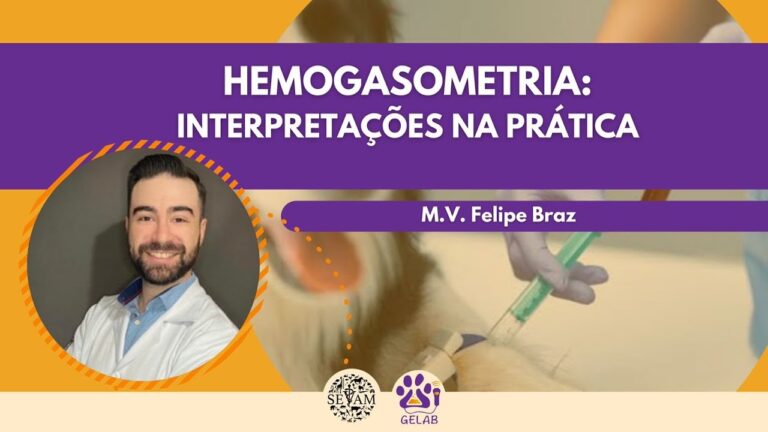 Preço da Hemogasometria Veterinária: Guia de Custos e Análise Econômica