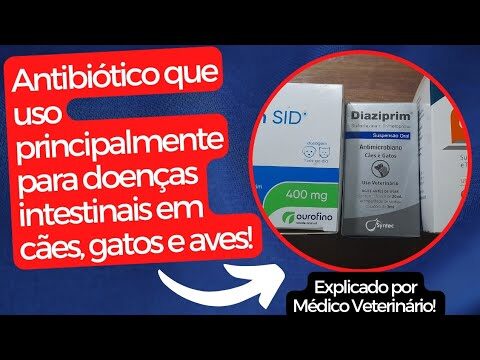Sulfadiazina Trimetoprim Veterinário: Guia Completo