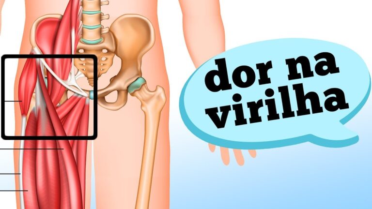 Localização da Virilha Feminina: Onde Fica e Como Identificar