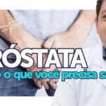 Gatos picados por abelha: O que fazer em caso de emergência