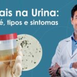 Como Calcular a Dose de Predsim em Gotas