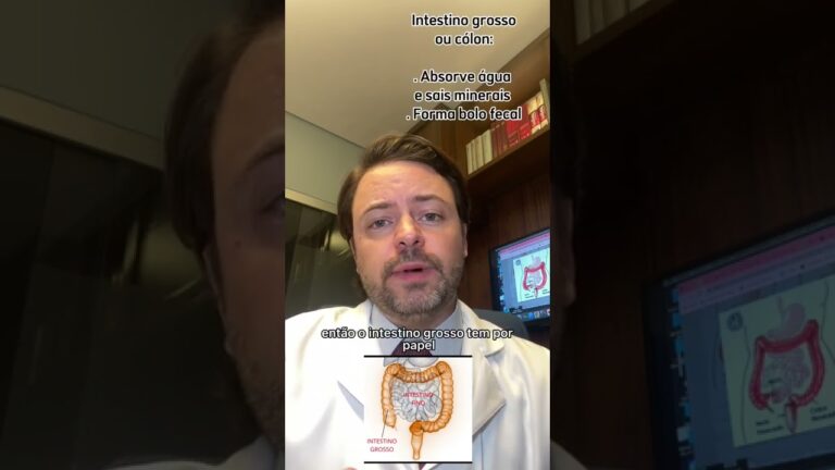 Estilo de vida pós-colectomia: como viver com parte do intestino grosso