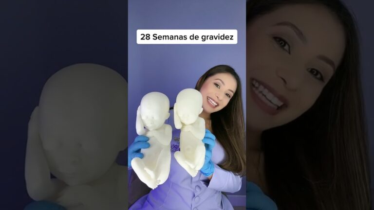 28 Semanas de Gravidez: Quantos Meses?