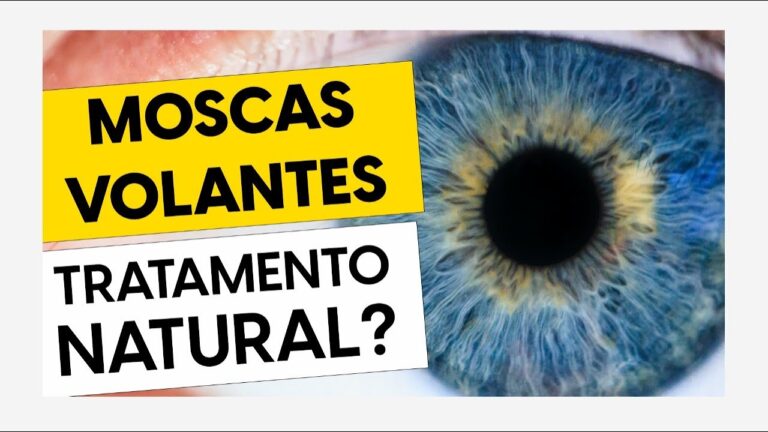 Entenda a mosca volante na visão: causas e tratamentos