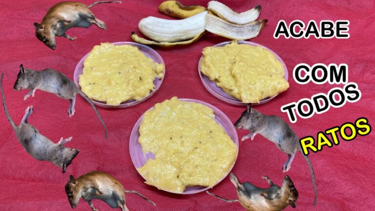 O Poder do Bicarbonato de Sódio: Como Ele Mata os Ratos