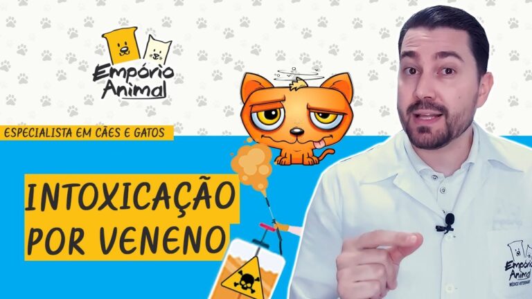 Nexxor: Os Perigos e Malefícios