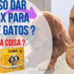 Cirurgia de Colelitíase: Procedimento otimizado e eficaz
