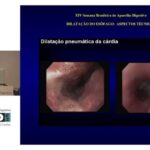 Calculadora de Função Renal: Uma Ferramenta Essencial para a Saúde Renal