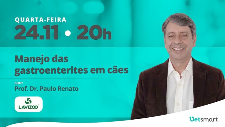 Remédios eficazes para gastroenterite em cães