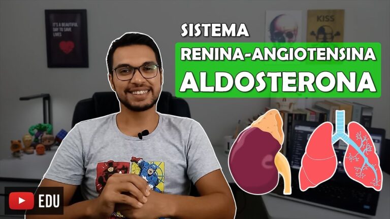A importância da atividade plasmática da renina na regulação da pressão arterial