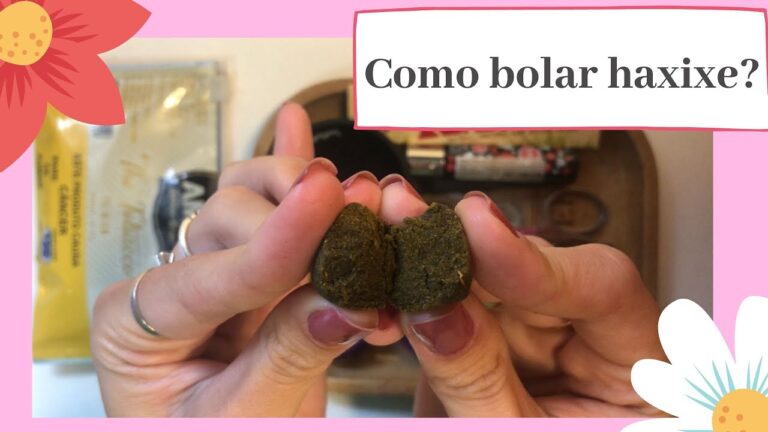 Guia prático: Como usar haxixe