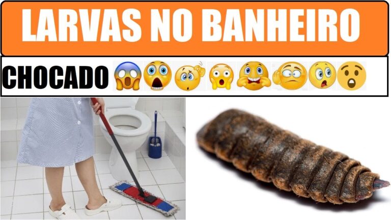 Como se livrar das larvas pretas no banheiro