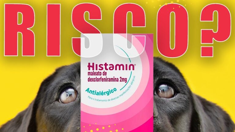 Antihistamínico para Cachorros: Guia Completo e Recomendações