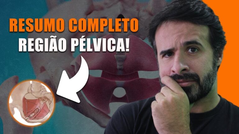 Onde Fica a Região Pélvica? | Actualizado mayo 2026