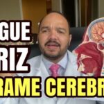 Benefícios do Citoneurim Oral: Tudo o que Você Precisa Saber