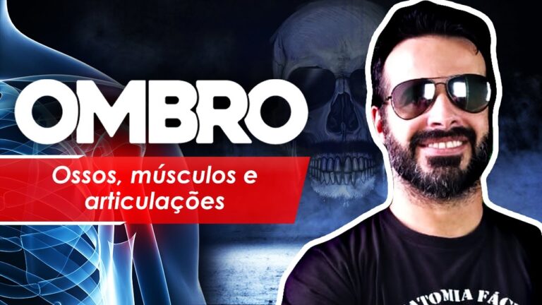 Anatomia dos Ombros: Guia Completo