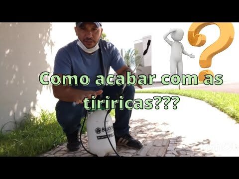Veneno Sempra: O Perigo Invisível