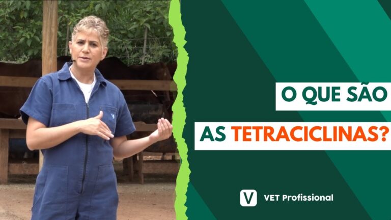 Guia Completo sobre o Uso da Tetraciclina Veterinária
