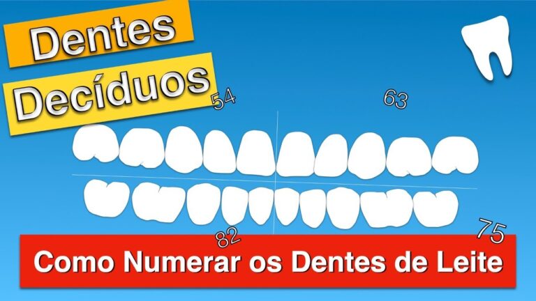 Guia da Dentição Decídua: Números e Sequência