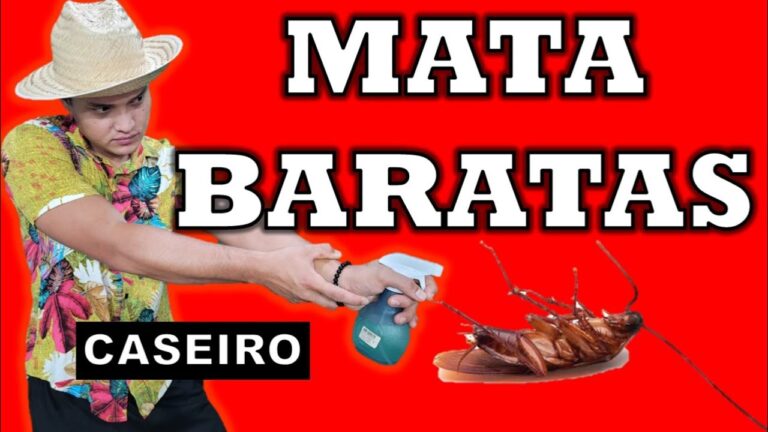 Veneno em Pó: O Melhor Combate contra Baratas
