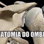 Síndrome de Colisão do Ombro: Causas e Tratamentos