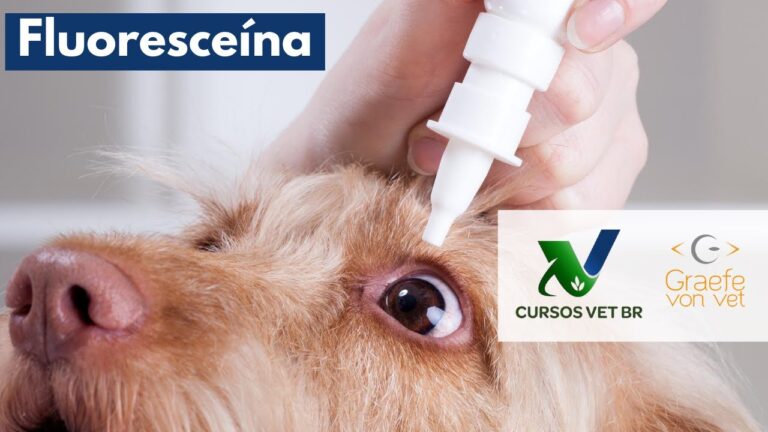 A importância do colírio de fluoresceína no diagnóstico ocular