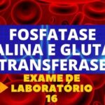 Apoio e Desenvolvimento de Beb&ecirc;s com S&iacute;ndrome de Down