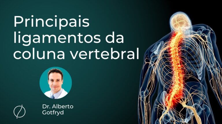Importância do Ligamento Supraespinhoso na Estabilidade do Ombro