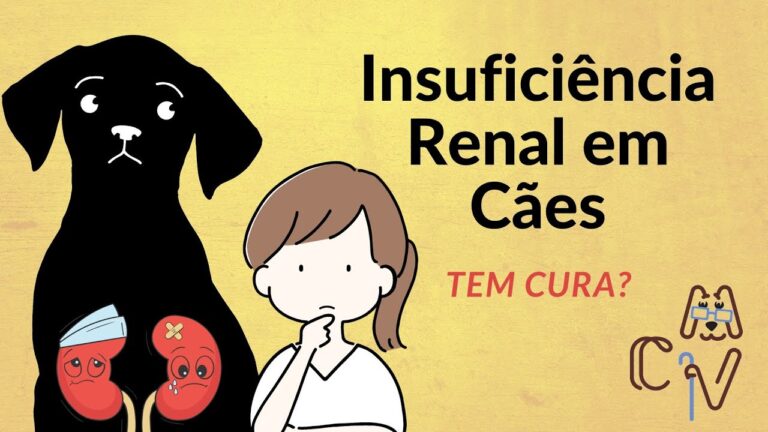 Tratamento da insuficiência renal em cachorros: possíveis curas e cuidados
