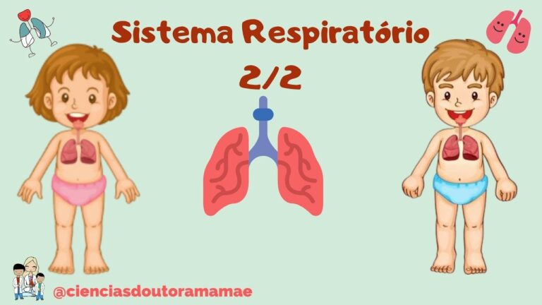 5º ano: Atividades do Sistema Respiratório