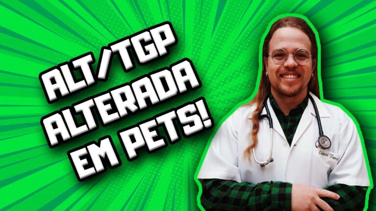 O papel do exame de ALT na saúde dos cães