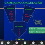 Conheça as Causas e Tratamentos do DST Sangue no Sêmen