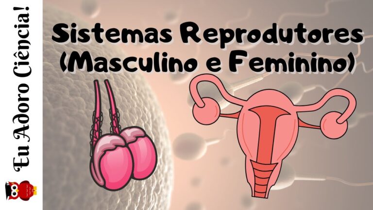 5 doenças do sistema reprodutor feminino: um guia completo