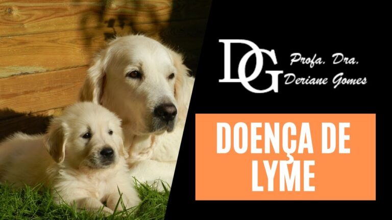 Doença de Lyme em Cães: Sintomas e Tratamento