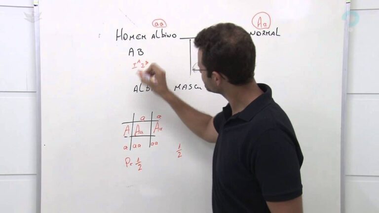 Como usar uma calculadora de tipo sanguíneo