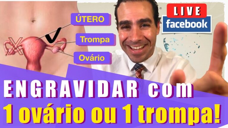 Engravidar com um &uacute;nico ov&aacute;rio: &eacute; poss&iacute;vel?
