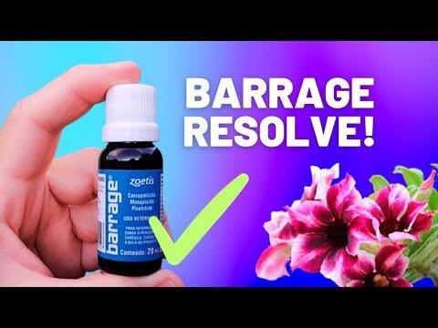 Barrage: Fun&ccedil;&otilde;es e Benef&iacute;cios Essenciais