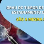 Calculadora TMB Harris: Como Calcular sua Taxa de Metabolismo Basal