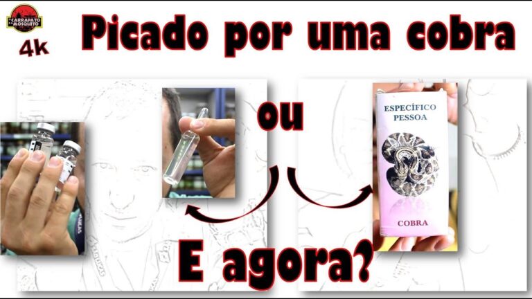 A Import&acirc;ncia da Escolha de um Medicamento Espec&iacute;fico para Cada Pessoa