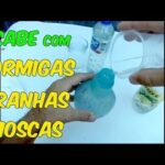 O papel do ginecologista especialista em candidíase: diagnóstico e tratamento