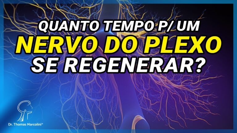 Prazo de regeneração do nervo: Quanto tempo demora?