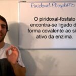 Bolinha no ânus: causas e tratamentos