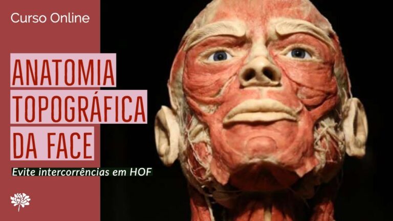 A Importância da Anatomia Orofacial na Odontologia