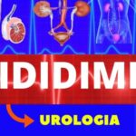 Principais Doenças de Cardiopatia Grave