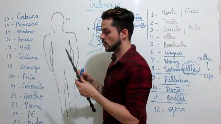 Parte do Corpo com a Letra Y: Conheça as Curiosidades