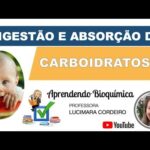 5 Maneiras de Melhorar as Varizes de Forma Eficiente