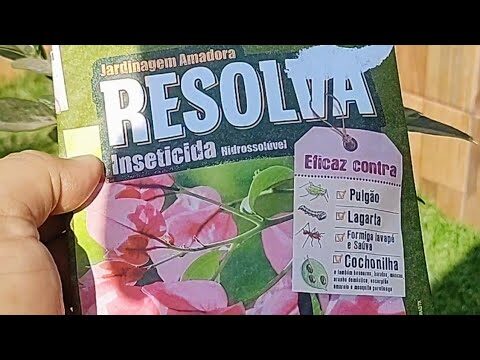 Resolva Inseticida: O Guia Definitivo para o Controle de Pragas