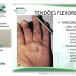 IMC Infantil: Tabela de Referência