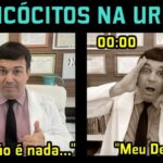 Benefícios da Acetilcisteína para Gatos: O que você precisa saber
