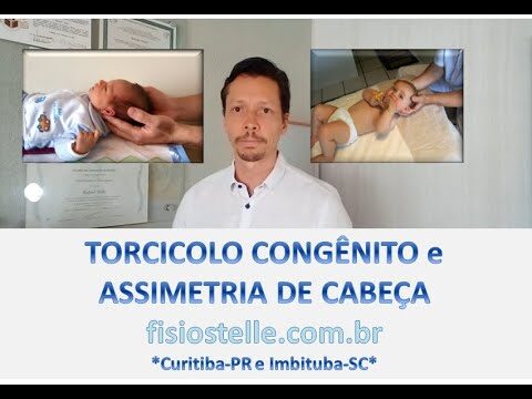 Braquicefalia: Antes e Depois